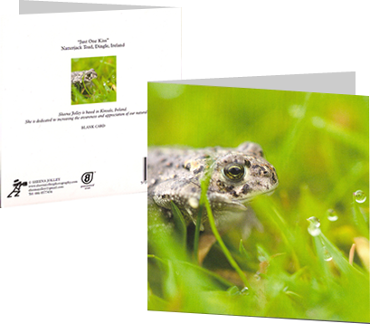 Sheena Jolley Photography Greeting Card Sample
