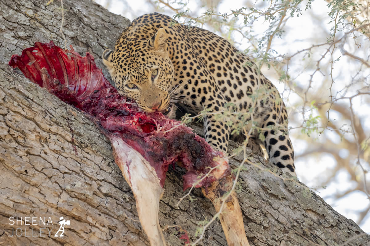 tanzania_Dead_End.jpg - Tanzania
