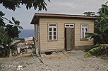 Chris Watsons house.jpg - Surrounded by banana trees and overhung by breadfruit trees with the Atlantic Ocean in the background.