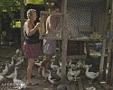 Ducks Galore.jpg - Terence Bailey and his mother feeding the ducks