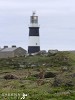 Rabbit Watch (Tory Island).jpg - Tory Island off the north west coast of Ireland is inundated with a large rabbit population. In fact I have never seen so many rabbits in one place. They seem to thrive all over the island. I took this shot in the evening when they were coming out of their burrows.