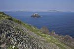 Skellig Michael.jpg - Skellig Michael lies 7miles off the south west of Ireland being mostly inaccessible by sea or air as it is battered by wind and waves. It is a rocky outcrop rising straight out of the sea. There are the remains of a 6th century monastry clinging precariously on its slopes along with lichen and wild flowers somehow emerging from the rock crevices. The small island is Little Skellig home to a Gannet Colony.