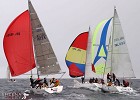 Spinnaker Run - Cork week.jpg - Spinnaker Run during Cork week