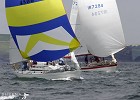 Spinnakers Flying - Sovereigns Week.jpg - Spinnakers Flying during racing in Sovereigns Week