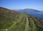 The Road Less Travelled-Great Blasket Island.jpg - 