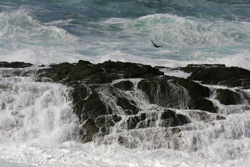 7 miles off the north of ireland in Force 10gale
