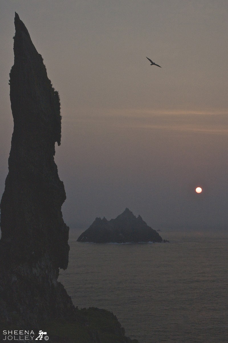 From Skellig Michael looking towards Little Skellig at dawn