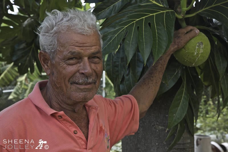 George examining his breadfruit tree. he successfully farms 5 acres of land