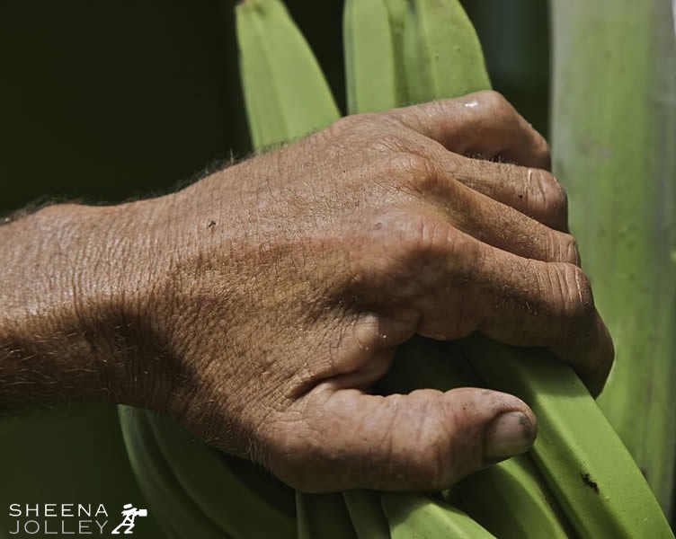 Jeffrey Gibson's hand