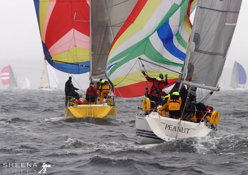 Run in the Fog during Cork Week