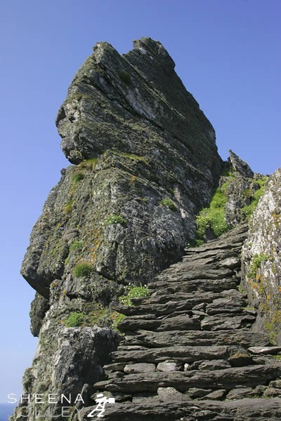 The steps leading up to the beehive huts on Skellig Michael